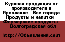 Куриная продукция от производителя в Ярославле - Все города Продукты и напитки » Фермерские продукты   . Волгоградская обл.